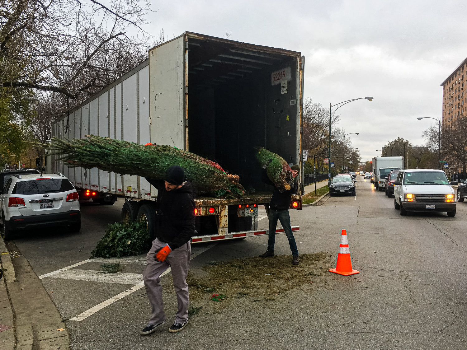 Chicagoland City Tree Christmas Tree Delivery