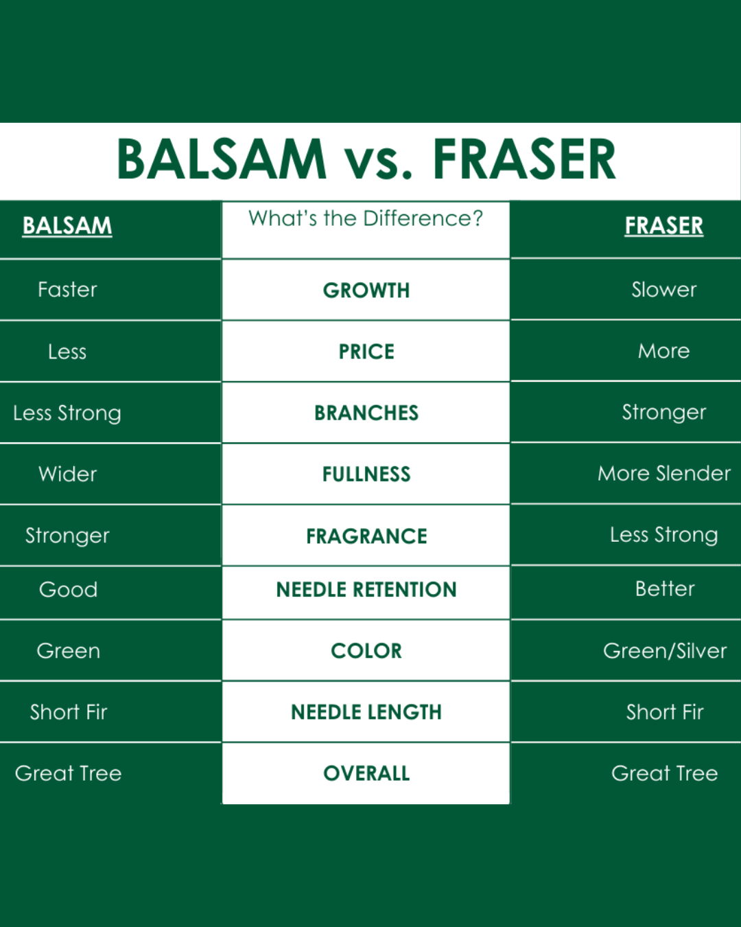 Comparison chart between Balsam and Fraser trees on a green background