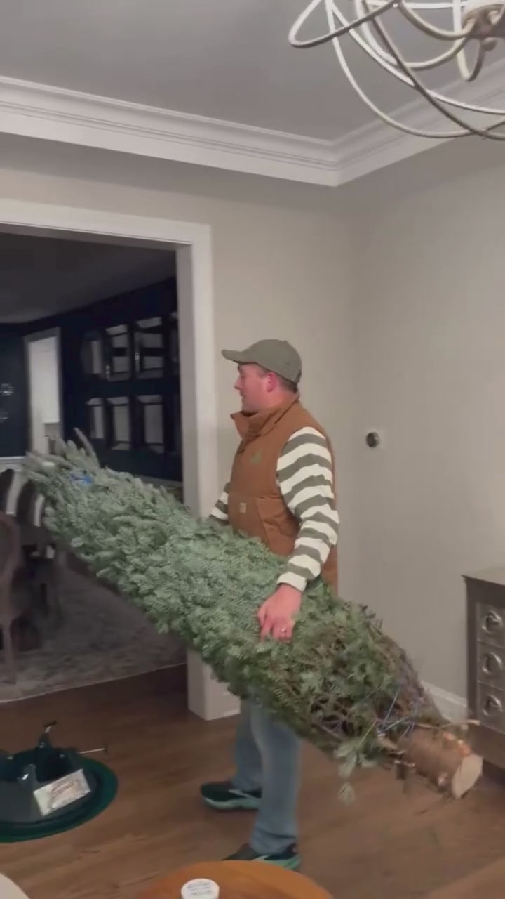 Chris carrying Christmas tree through home during delivery