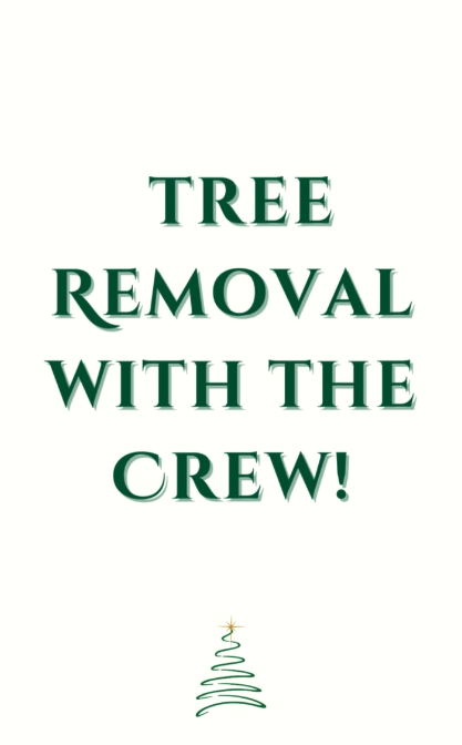 Christmas tree removal service video showing delivery team removing tree