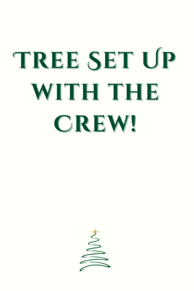 Christmas tree setup service video showing delivery team installing tree