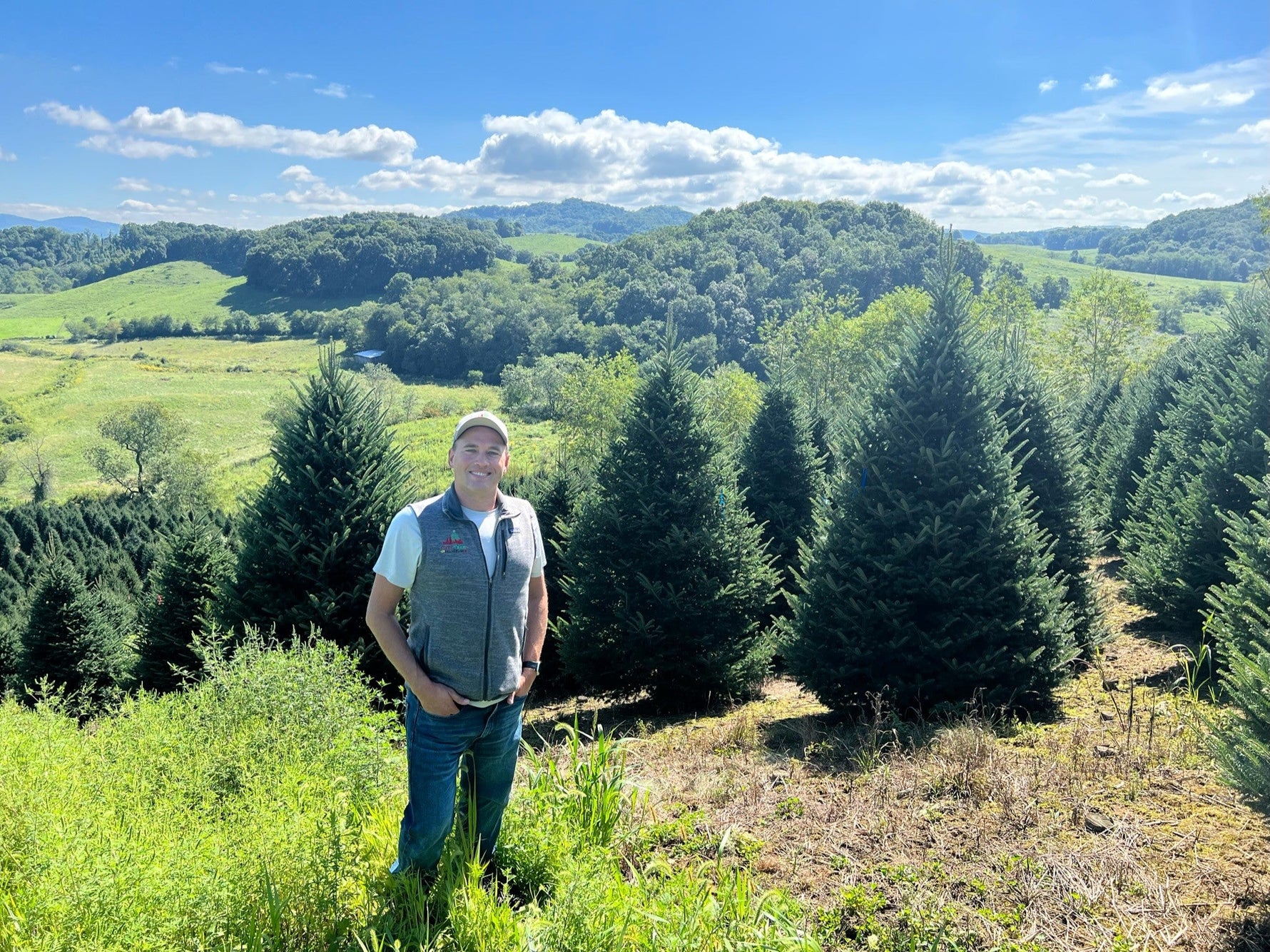 Best Christmas Trees for Chicago: Fraser Fir vs. Balsam Fir + Size Guide