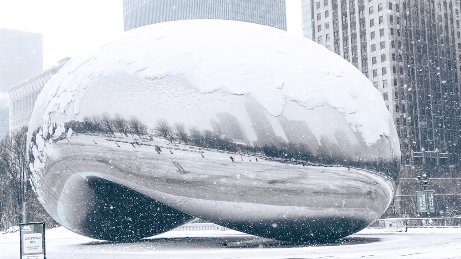 Millenium Park "Bean" during the holidays - City Tree Delivery