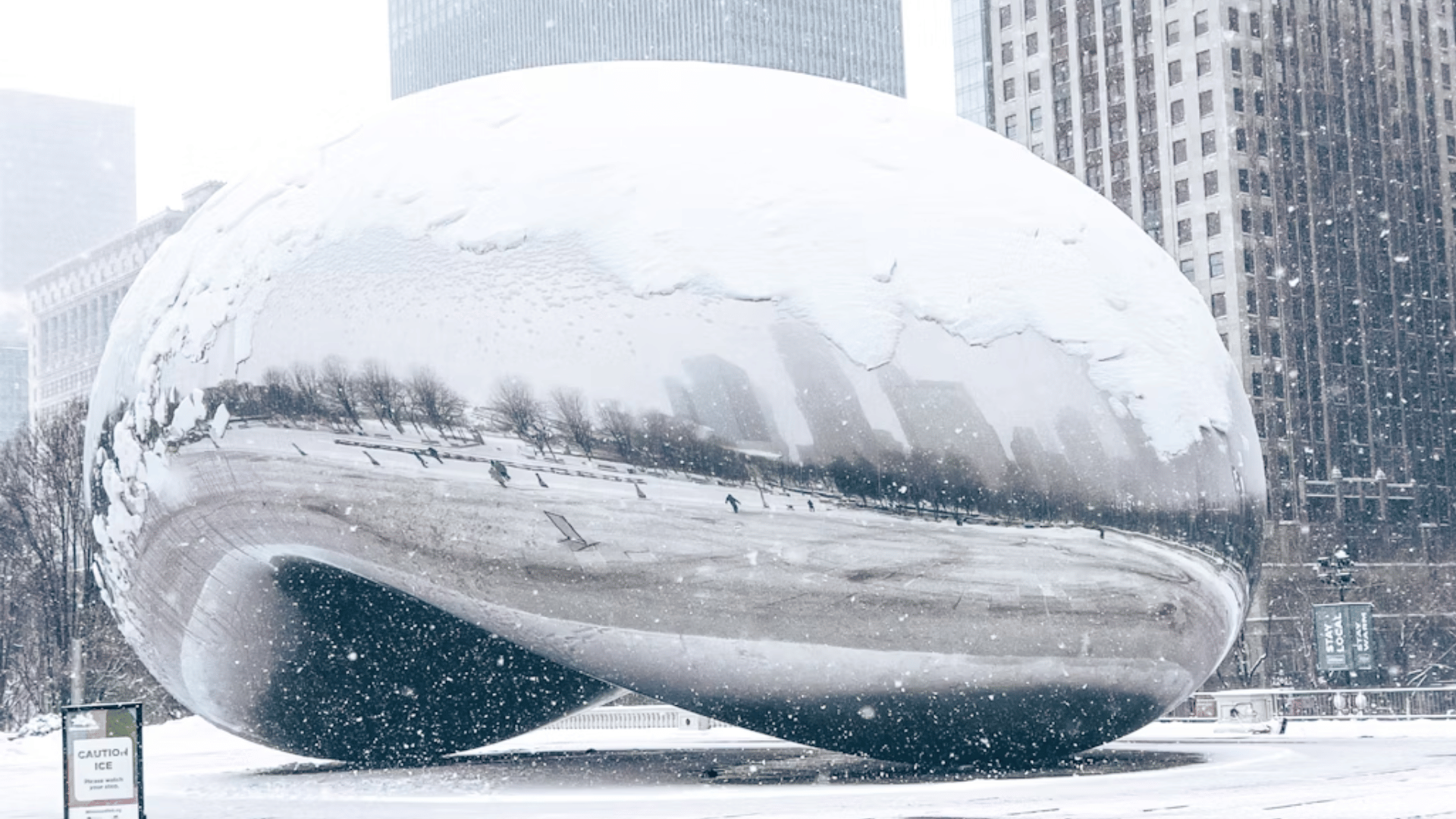 Millenium Park "Bean" during the holidays - City Tree Delivery