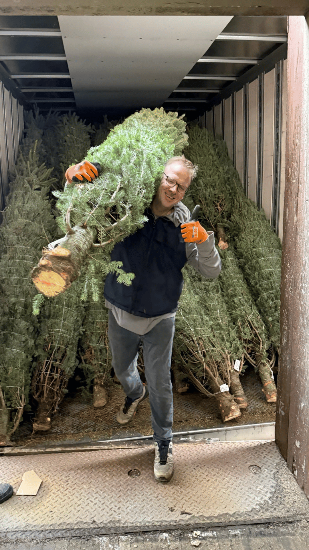 Person carrying a large Christmas tree through a warehouse with other trees in the background.