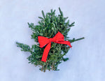 City Tree Delivery Fir Bough Bundle