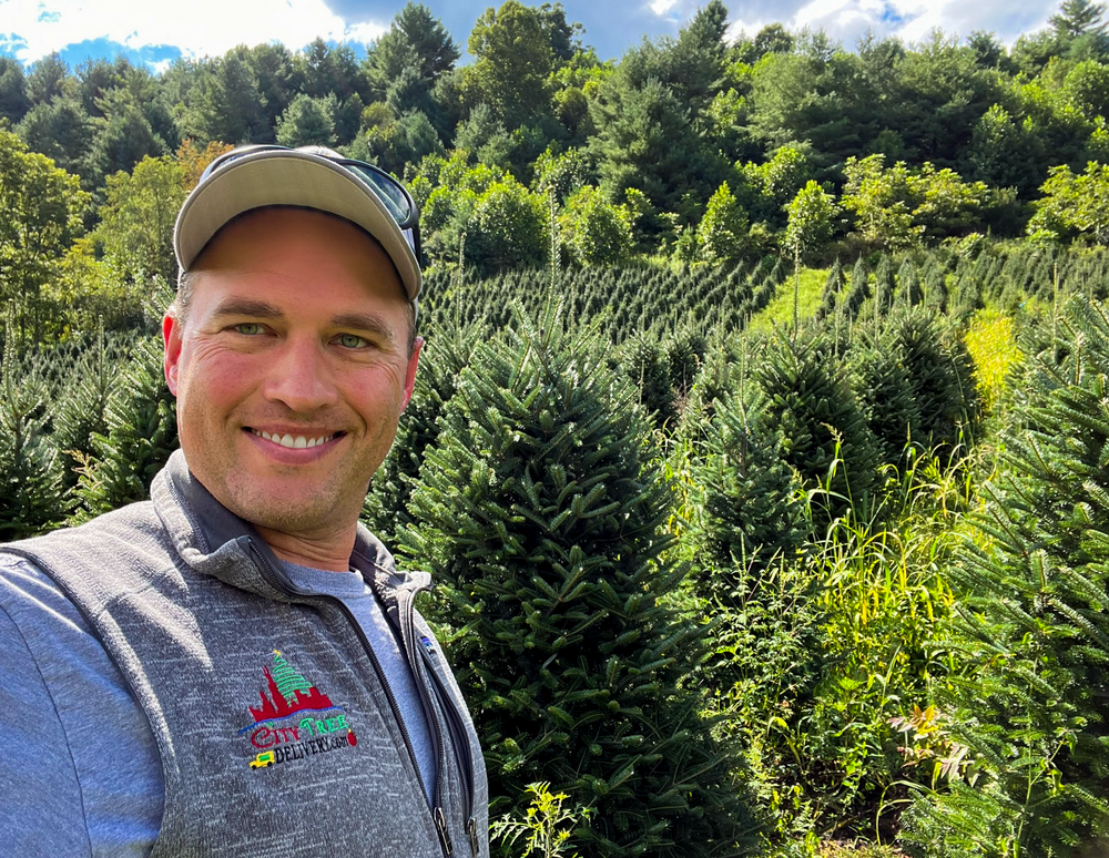 City Tree Delivery Contact Us City Trees