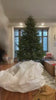 In Home Christmas tree removal by City Tree Delivery