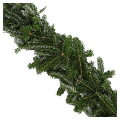 Fraser Fir Garland/Roping: 25ft roll