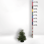 Tabletop tree - City Tree Delivery - Chicagoland Christmas Tree Delivery